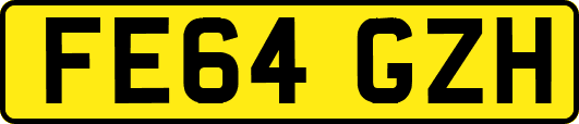 FE64GZH