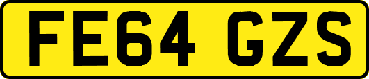 FE64GZS