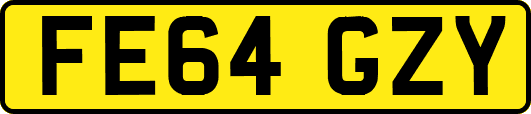FE64GZY