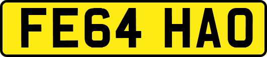 FE64HAO