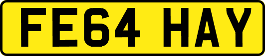 FE64HAY