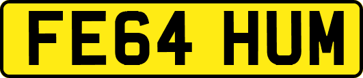 FE64HUM