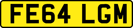 FE64LGM