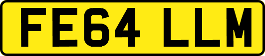 FE64LLM