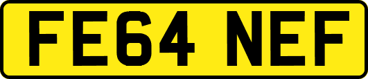 FE64NEF