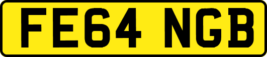 FE64NGB