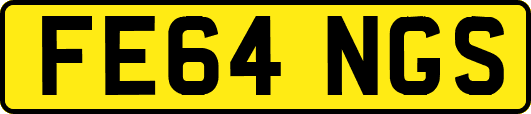 FE64NGS