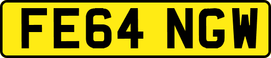 FE64NGW