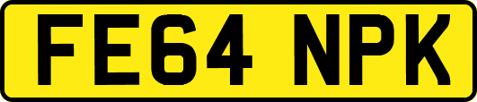 FE64NPK