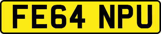 FE64NPU