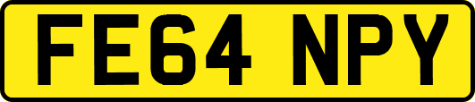 FE64NPY