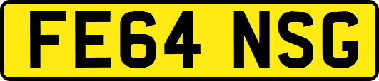 FE64NSG