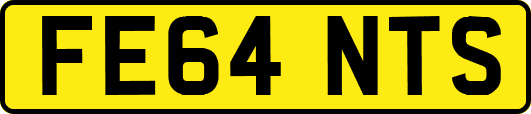 FE64NTS