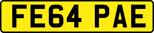 FE64PAE