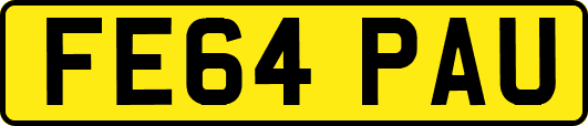 FE64PAU