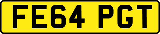 FE64PGT
