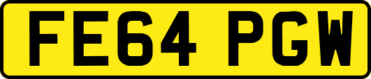 FE64PGW
