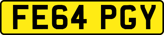FE64PGY
