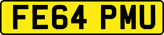 FE64PMU