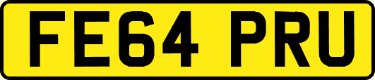 FE64PRU