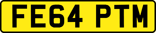 FE64PTM