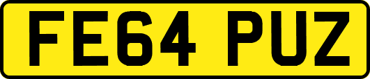 FE64PUZ