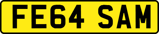 FE64SAM