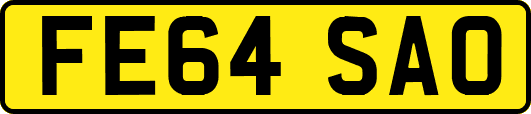 FE64SAO
