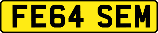 FE64SEM