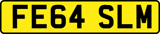 FE64SLM