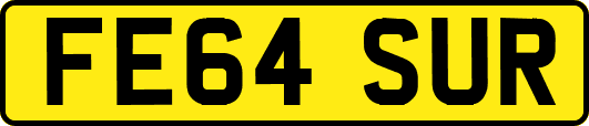 FE64SUR