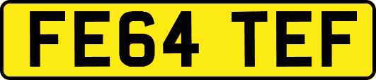 FE64TEF