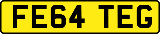 FE64TEG
