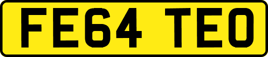 FE64TEO