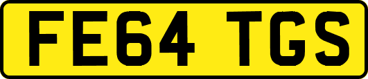 FE64TGS