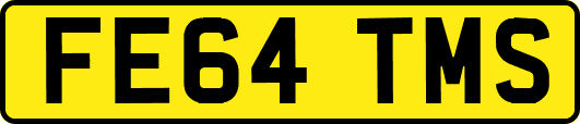 FE64TMS