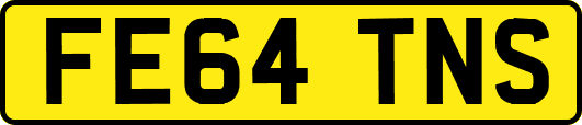 FE64TNS