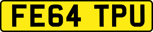 FE64TPU