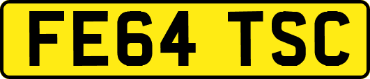 FE64TSC