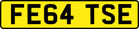 FE64TSE