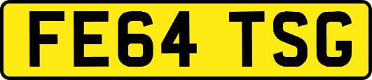 FE64TSG