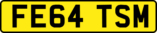 FE64TSM