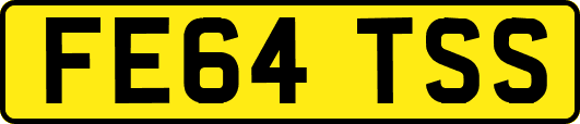 FE64TSS