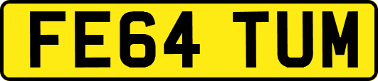 FE64TUM