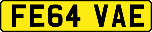 FE64VAE