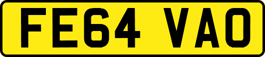 FE64VAO