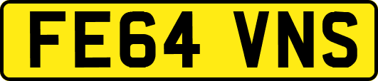 FE64VNS