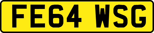 FE64WSG