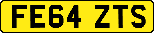 FE64ZTS