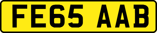 FE65AAB
